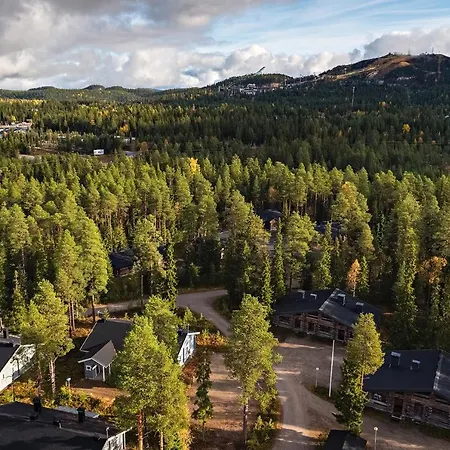 Unelmakanerva * Ruka