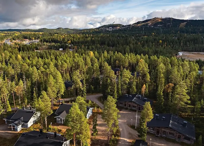 Unelmakanerva * Ruka